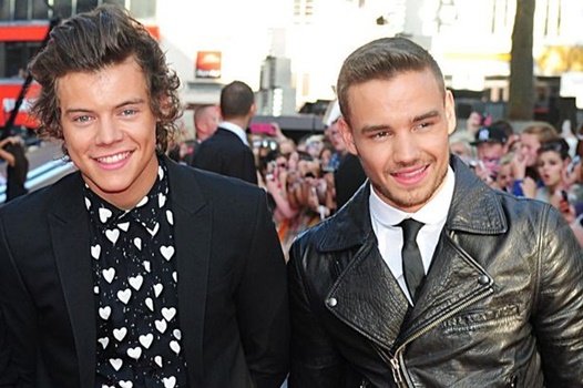 Liam Payne Revealed He's Never a Fan of Harry Styles