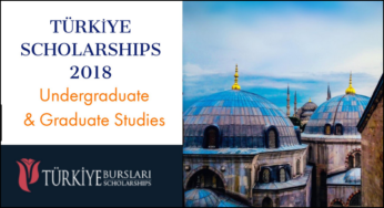 Turkey Undergraduate and Postgraduate Scholarships 2018/2019 and How to Apply