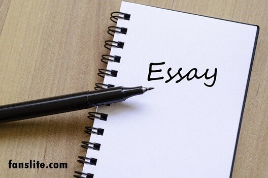 6th Grade Essay Topics – Best 100 Essay Ideas For Sixth Graders