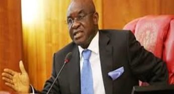 David Mark Biography And Net Worth – Life And Career Of Senator David Mark GCON