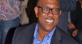 Peter Obi Biography And Net Worth – Career Journey Of A Respected Politician