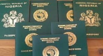 How to Trace Nigerian Passport/Travel Document Number Online – See Full Guide