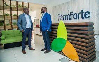 Farmforte Nigeria Recruitment - How to Apply for Graduate Jobs