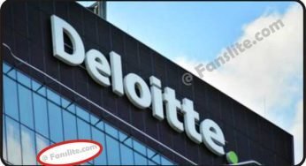 How Deloitte Works – Deloitte Audit – Consulting, Financial, and Risk Management