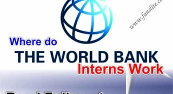 Where do World Bank Interns Work