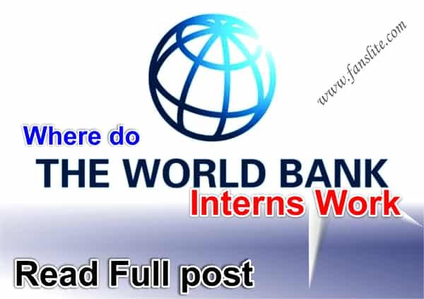 Where do World Bank Interns Work