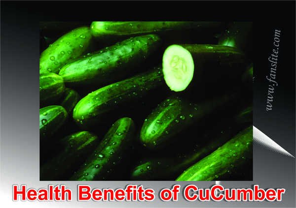 Wonderful Health Benefits of Cucumber - Is Cucumber Good for Body