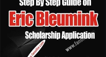 Eric Bleumink Scholarship Apply | Netherlands Fully Funded Program