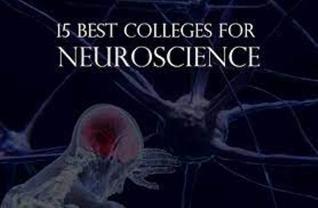 10 Best Neuroscience Programs in 2022