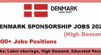 Denmark Seasonal Work Visa 2024: Employment Guide