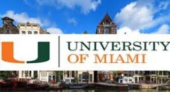 University of Miami Stamps Scholarship 2024-2025