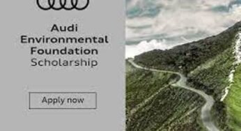 Audi Environmental Foundation Scholarship 2024