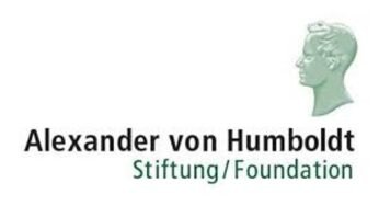 Humboldt Research Fellowship 2024